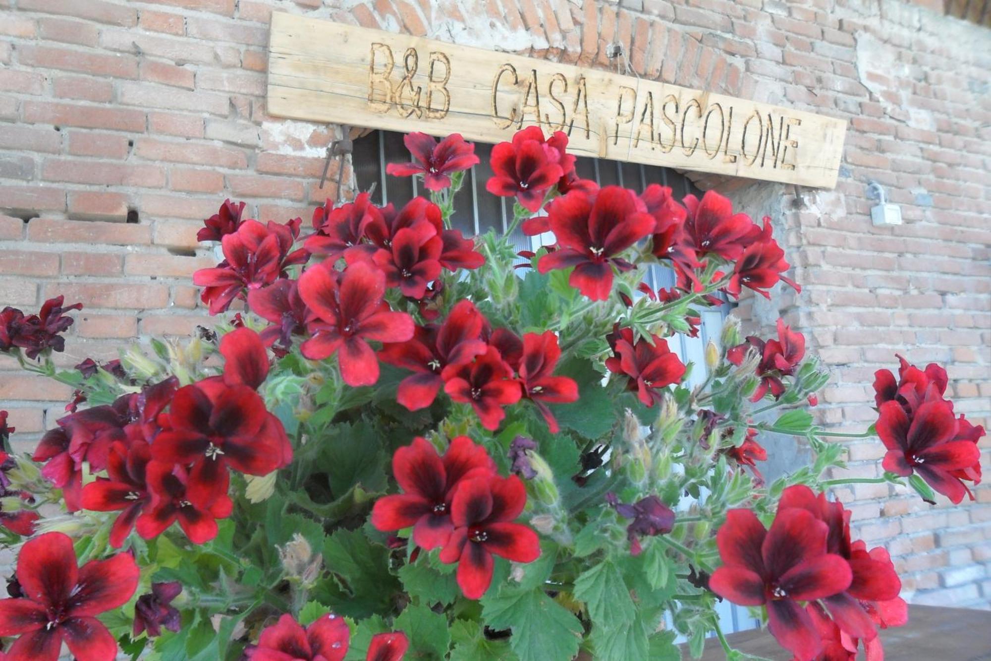 B&B Casa Pascolone Pegognaga Exteriér fotografie